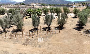 1000 m2 EXCLUSIVA COMUNIDAD PRIVADA. VALLE DE GUADALUPE