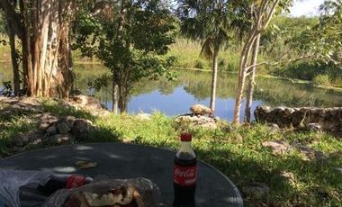 Rancho en Venta, superficie de 30 ha, Cenote abierto, zona de Buctzotz