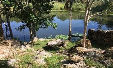 Rancho en Venta, superficie de 30 ha, Cenote abierto, zona de Buctzotz