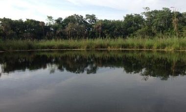 Rancho en Venta, superficie de 30 ha, Cenote abierto, zona de Buctzotz