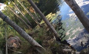 Rancho en Venta, superficie de 30 ha, Cenote abierto, zona de Buctzotz