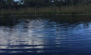 Rancho en Venta, superficie de 30 ha, Cenote abierto, zona de Buctzotz