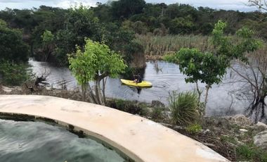 Rancho en Venta, 50 ha de superficie, cenote abierto, zona Buctzotz