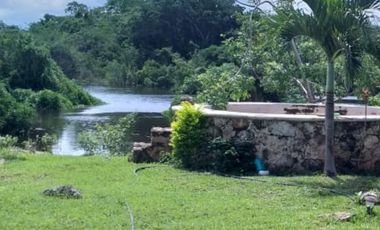 Rancho en Venta, 50 ha de superficie, cenote abierto, zona Buctzotz