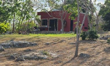 Rancho en Venta, 50 ha de superficie, cenote abierto, zona Buctzotz
