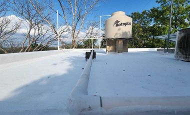 Rancho en Venta, 50 ha de superficie, cenote abierto, zona Buctzotz