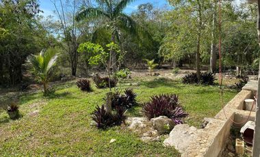 Rancho en Venta, 50 ha de superficie, cenote abierto, zona Buctzotz