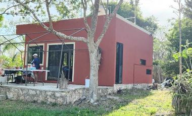 Rancho en Venta, 50 ha de superficie, cenote abierto, zona Buctzotz
