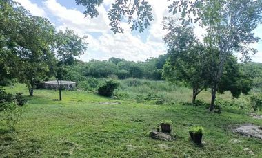 Rancho en Venta, 50 ha de superficie, cenote abierto, zona Buctzotz