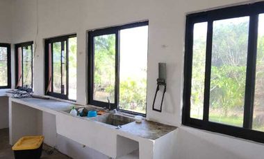 Rancho en Venta, 50 ha de superficie, cenote abierto, zona Buctzotz