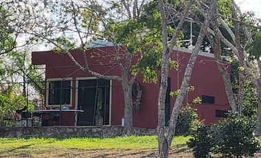 Rancho en Venta, 50 ha de superficie, cenote abierto, zona Buctzotz