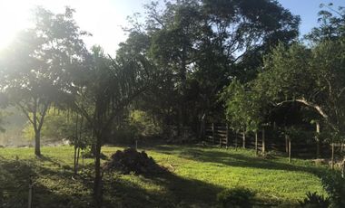Rancho en Venta, 50 ha de superficie, cenote abierto, zona Buctzotz