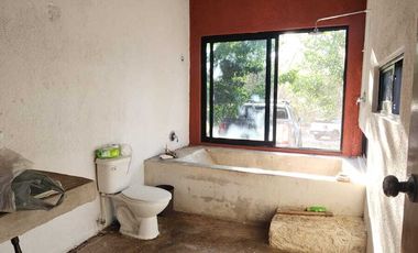 Rancho en Venta, 50 ha de superficie, cenote abierto, zona Buctzotz