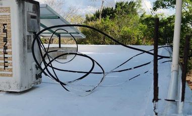 Rancho en Venta, 50 ha de superficie, cenote abierto, zona Buctzotz