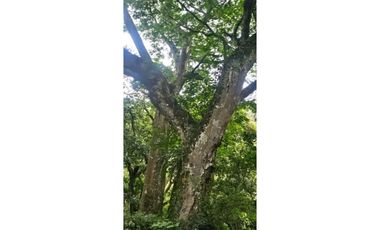 VENTA CASA EN ALTOS DEL MARIA CON 1264.33 M2 BUENA INVERSION CV