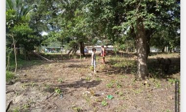 TERRENO / PENONOME / VIA A LA PINTADA / 2,000M / TOTALMENTE PLANO JC