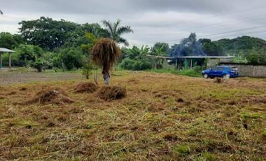TERRENO / PENONOME / VIA A LA PINTADA / 2,000M / TOTALMENTE PLANO JC