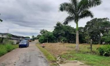 TERRENO / PENONOME / VIA A LA PINTADA / 2,000M / TOTALMENTE PLANO JC