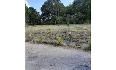 TERRENO / PENONOME / VIA A LA PINTADA / 2,000M / TOTALMENTE PLANO JC