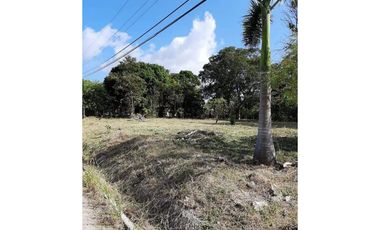 TERRENO / PENONOME / VIA A LA PINTADA / 2,000M / TOTALMENTE PLANO JC