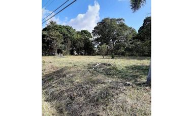 TERRENO / PENONOME / VIA A LA PINTADA / 2,000M / TOTALMENTE PLANO JC