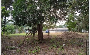 TERRENO / PENONOME / VIA A LA PINTADA / 2,000M / TOTALMENTE PLANO JC