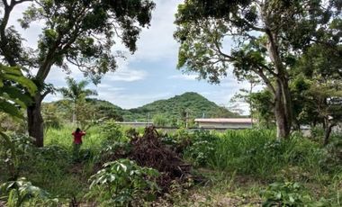 TERRENO / PENONOME / VIA A LA PINTADA / 2,000M / TOTALMENTE PLANO JC