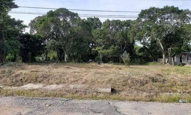 TERRENO / PENONOME / VIA A LA PINTADA / 2,000M / TOTALMENTE PLANO JC