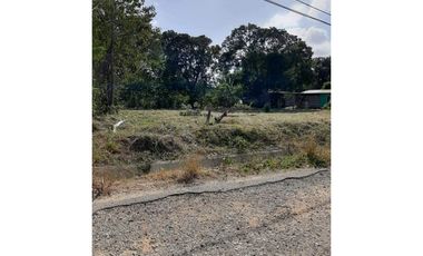 TERRENO / PENONOME / VIA A LA PINTADA / 2,000M / TOTALMENTE PLANO JC