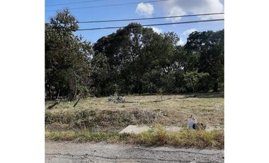 TERRENO / PENONOME / VIA A LA PINTADA / 2,000M / TOTALMENTE PLANO JC