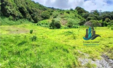 EN.VENTA 1HA+9000MTS CAMISETA BOQUETE