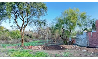 Venta de lote en calle Echeverria