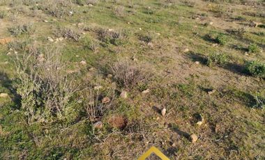 Parcela en venta en VICUÑA