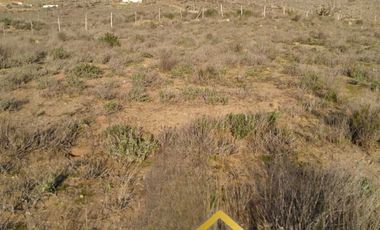Parcela en venta en VICUÑA