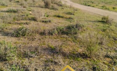Parcela en venta en VICUÑA