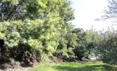 Local Comercial en Venta en Sector Cerro Conunhuenu Km 3 Padre Las Casas