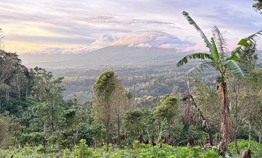 Dijual Lahan View sangat indah Gunung Laut lembah udara sejuk munduk