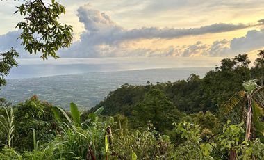 Dijual Lahan View sangat indah Gunung Laut lembah udara sejuk munduk