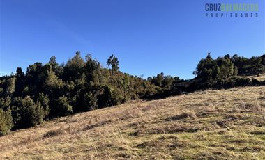 Parcela en Venta en Lado Norte Lago Rupanco, sector Santa Elvira