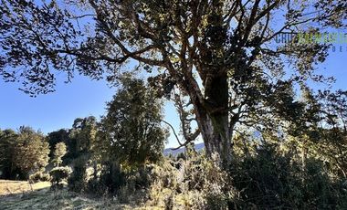 Parcela en Venta en Lado Norte Lago Rupanco, sector Santa Elvira