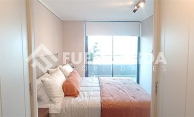 Departamento en Arriendo en calle coipue