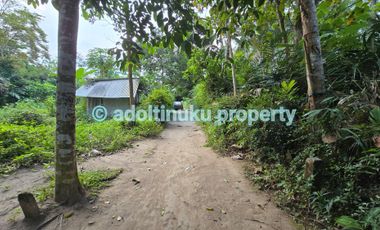 Tanah murah akses mobil di mertoyudan magelang