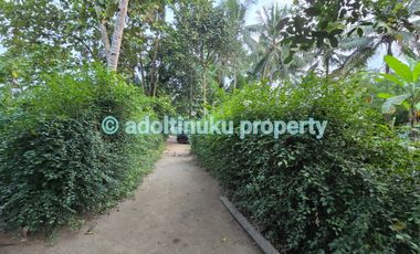 Tanah murah akses mobil di mertoyudan magelang