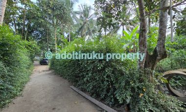 Tanah murah akses mobil di mertoyudan magelang