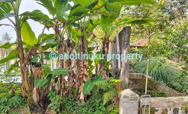 Rumah dengan tanah luas di tepi jalan utama blabak, mungkid, magelang