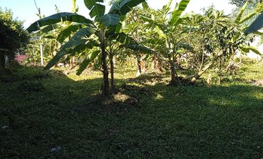 Disewakan Tanah Komersil di Tengah Kota Bogor Cocok Untuk Cafe Resto