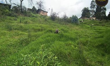 Terreno de venta en Ochoa Léon – código:21867