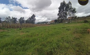 Terreno de venta en Ochoa Léon – código:21867