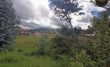 Terreno de venta en Ochoa Léon – código:21867