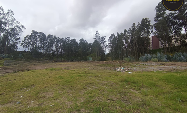 Terreno de venta en Ochoa Léon – código:21858